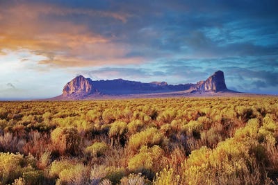 Dennis Frates - Multi Panel Prints: Fort Rock by Dennis Frates