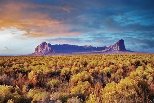 Dennis Frates: Fort Rock by Dennis Frates