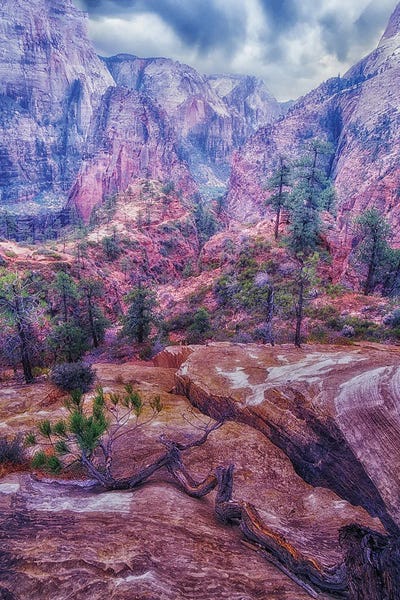 Dennis Frates - Multi Panel Prints: Zion Majic by Dennis Frates