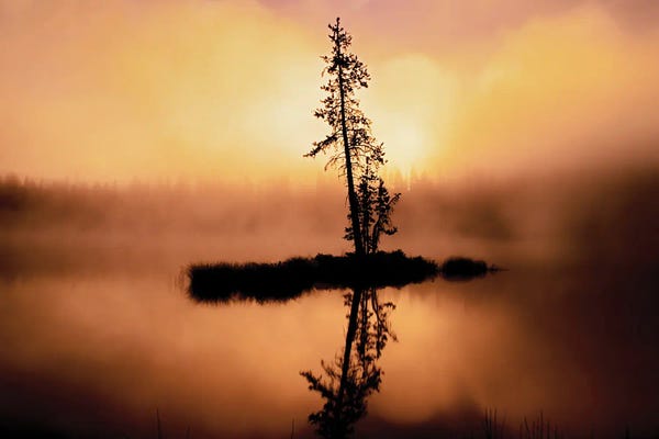 Dennis Frates: First Lake Light by Dennis Frates
