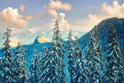 Dennis Frates - Multi Panel Prints: First Cascade Snow by Dennis Frates