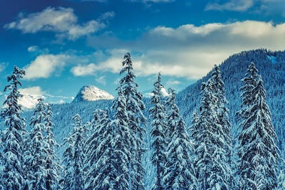 Dennis Frates - Multi Panel Prints: First Snow II by Dennis Frates