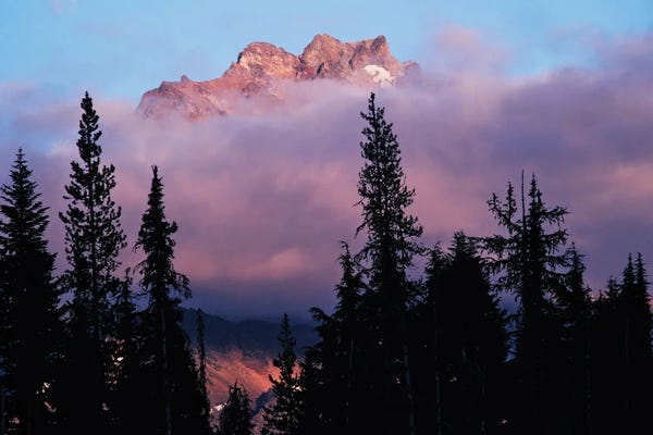 Foggy Sunrise II