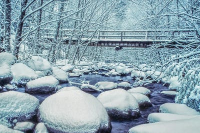 Dennis Frates - Multi Panel Prints: Heavy Snow by Dennis Frates