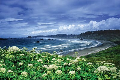 Dennis Frates - Multi Panel Prints: Waves And Wildflowers by Dennis Frates