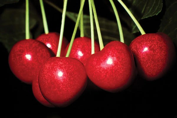 Dennis Frates: Cherries by Dennis Frates