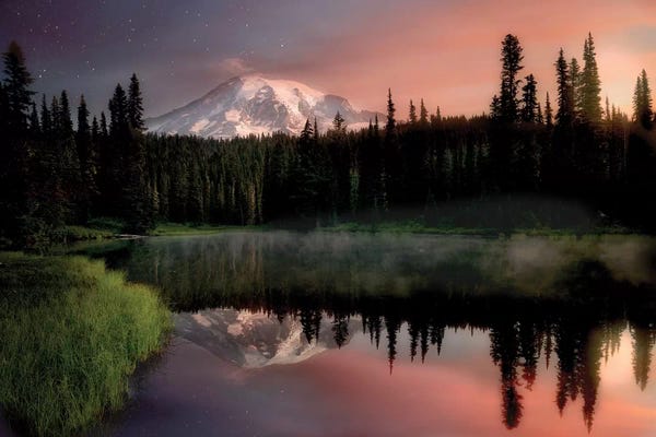 Evergreen Trees: Reflection Lake by Dennis Frates