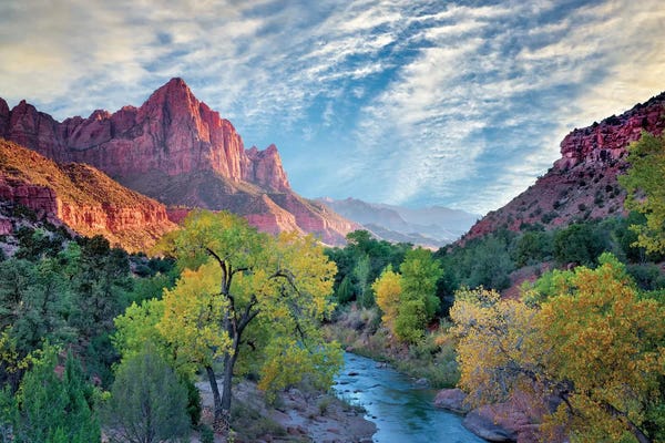 Autumn Stream I