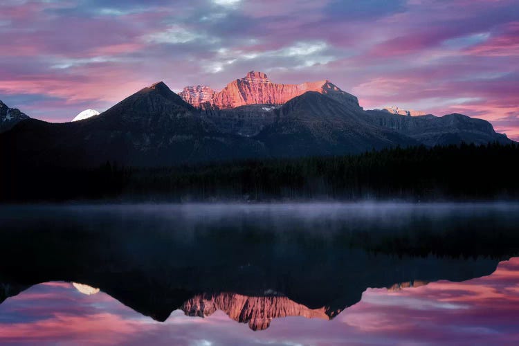 Rockies Reflection by Dennis Frates wall art