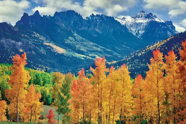 Wyoming: Rocky Mt. Fall by Dennis Frates