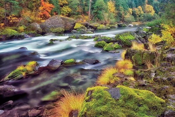 Autumn Stream II