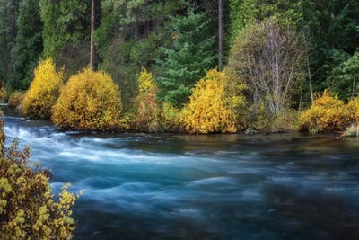 Autumn Stremside by Dennis Frates canvas print