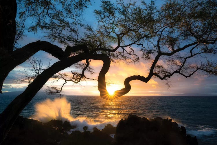 Silhouette Sunset by Dennis Frates wall art