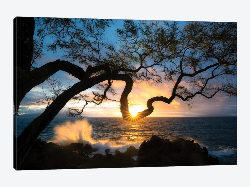 Silhouette Sunset by Dennis Frates 1-piece Canvas Art Print
