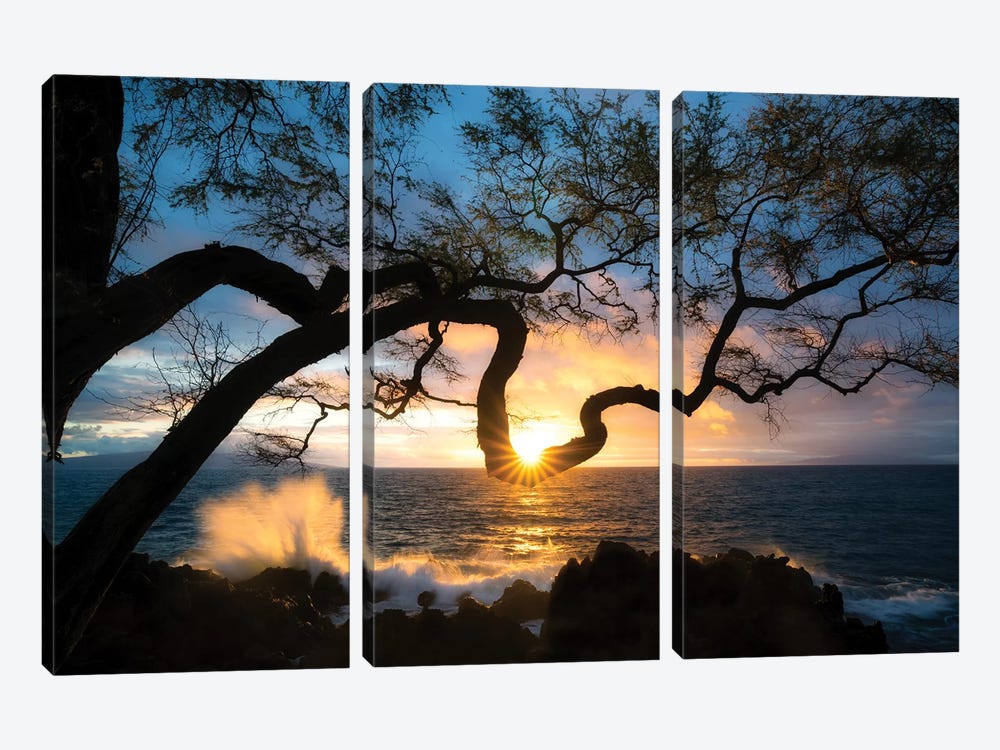 Silhouette Sunset by Dennis Frates 3-piece Canvas Art Print