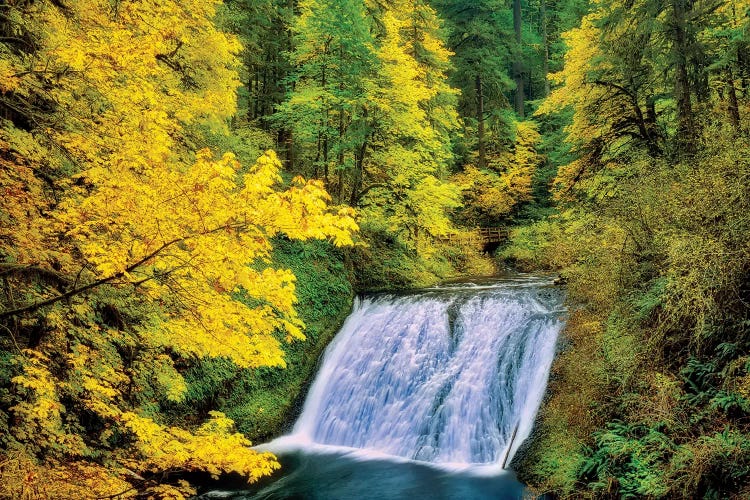 Silver Autumn Falls