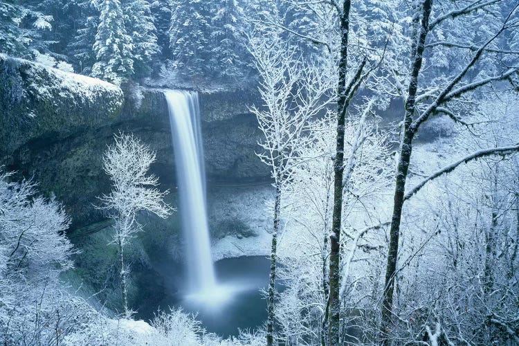 Silver Falls Winter by Dennis Frates wall art