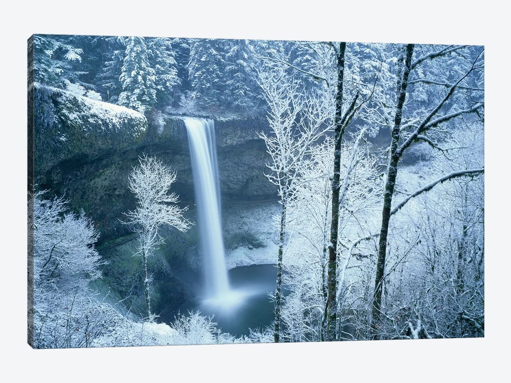 Silver Falls Winter by Dennis Frates 1-piece Art Print