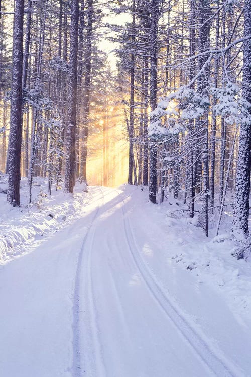 Snowy Sunrise I by Dennis Frates wall art