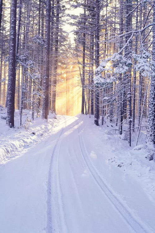 Snowy Sunrise II by Dennis Frates wall art