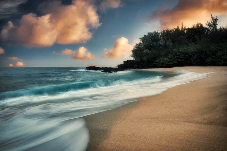 Soft Surf by Dennis Frates wall art