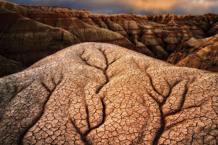 Badlands Sculpture