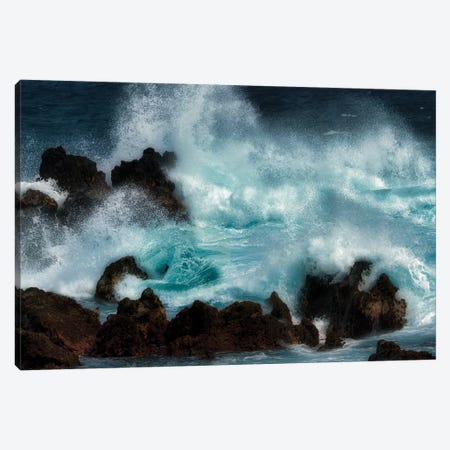 Storm Waves I Canvas Print #DEN328} by Dennis Frates Canvas Art Print