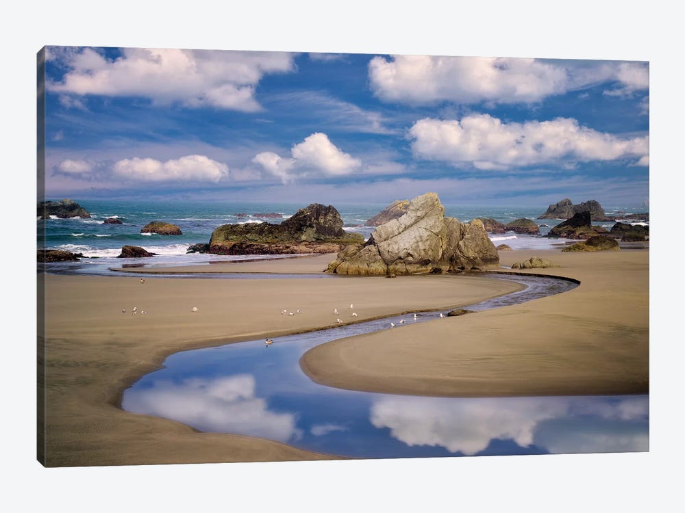 Stream To The Ocean by Dennis Frates 1-piece Canvas Print