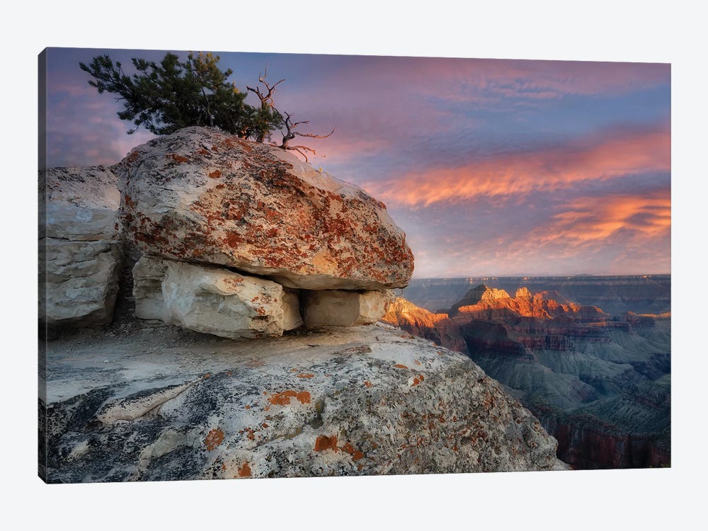 Sunset Grand Canyon III by Dennis Frates 1-piece Art Print
