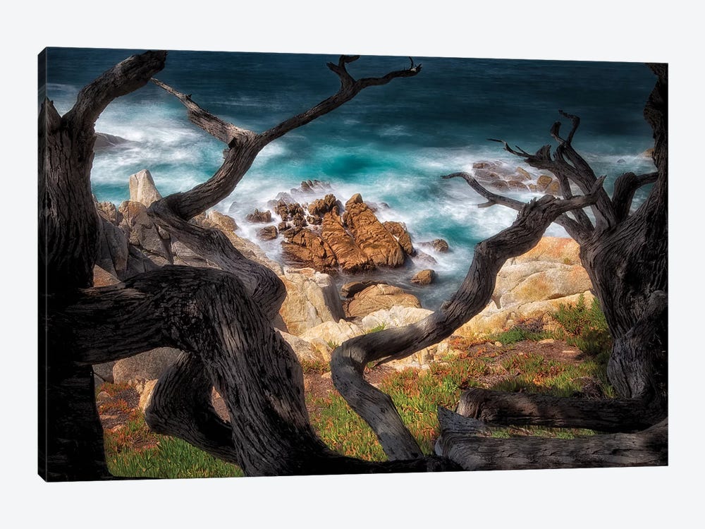 Surf Frame by Dennis Frates 1-piece Canvas Artwork