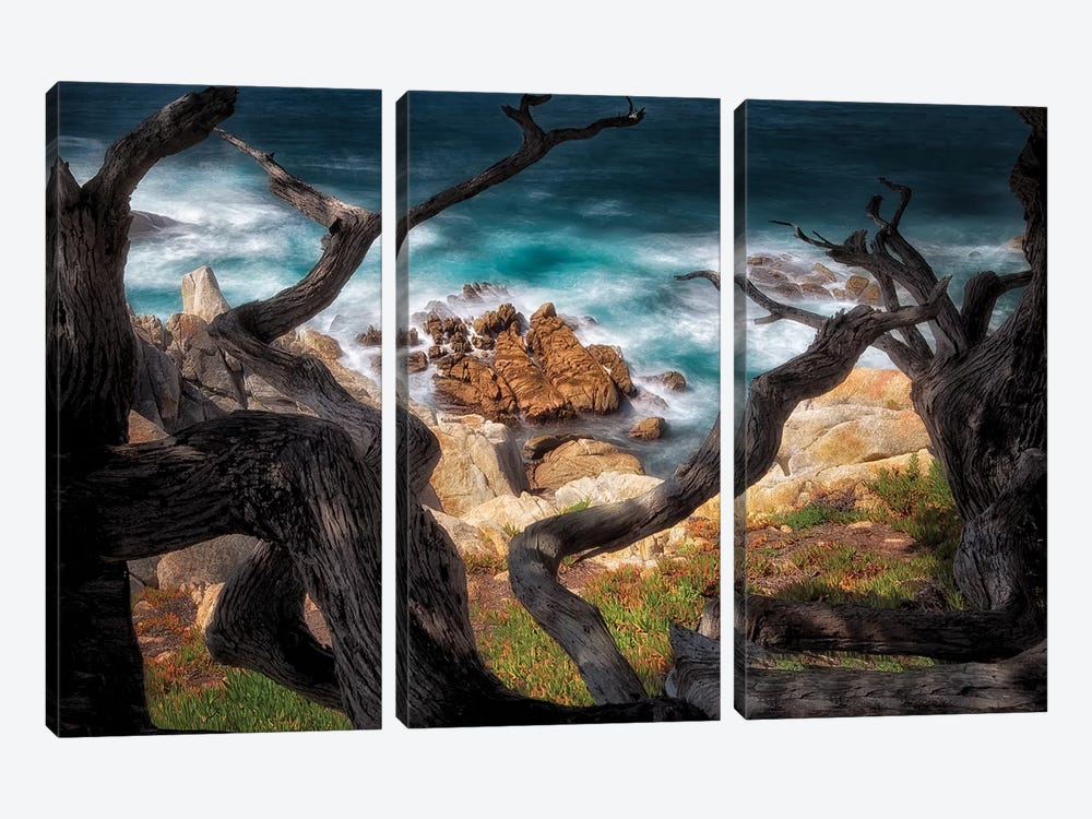 Surf Frame by Dennis Frates 3-piece Canvas Wall Art