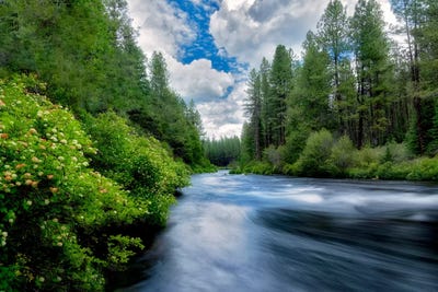 Sweeping Spring River I by Dennis Frates canvas print