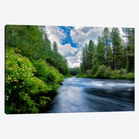 Sweeping Spring River I Canvas Print #DEN346} by Dennis Frates Canvas Art