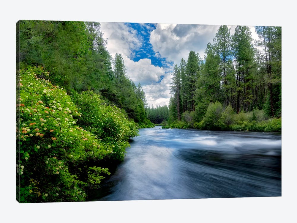 Sweeping Spring River I by Dennis Frates 1-piece Canvas Artwork