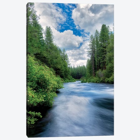 Sweeping Spring River II Canvas Print #DEN347} by Dennis Frates Canvas Wall Art