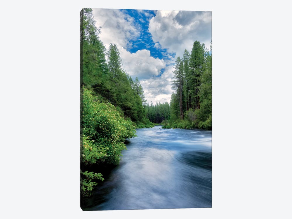 Sweeping Spring River II by Dennis Frates 1-piece Canvas Art Print