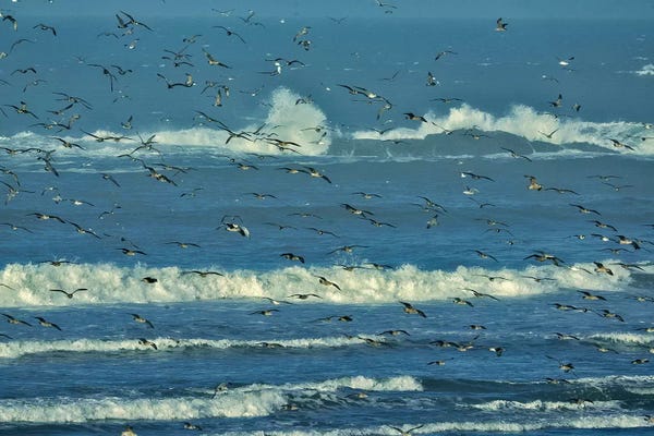 Take Flight
