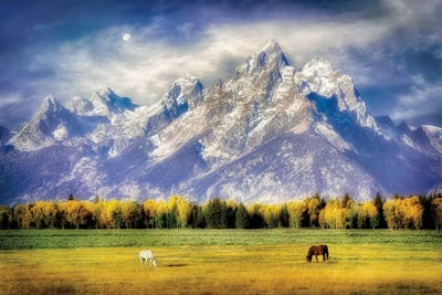 Teton Pasture by Dennis Frates canvas print