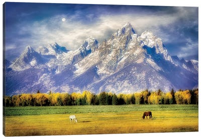 Teton Pasture Canvas Art Print - Rocky Mountain Art