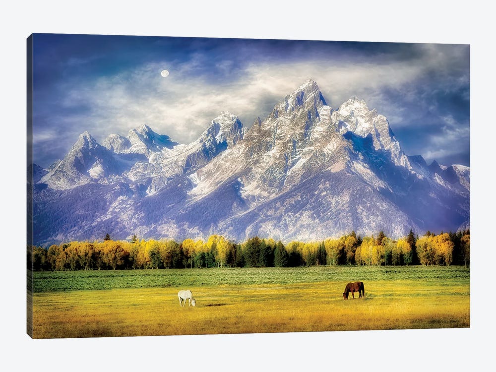Teton Pasture by Dennis Frates 1-piece Canvas Print