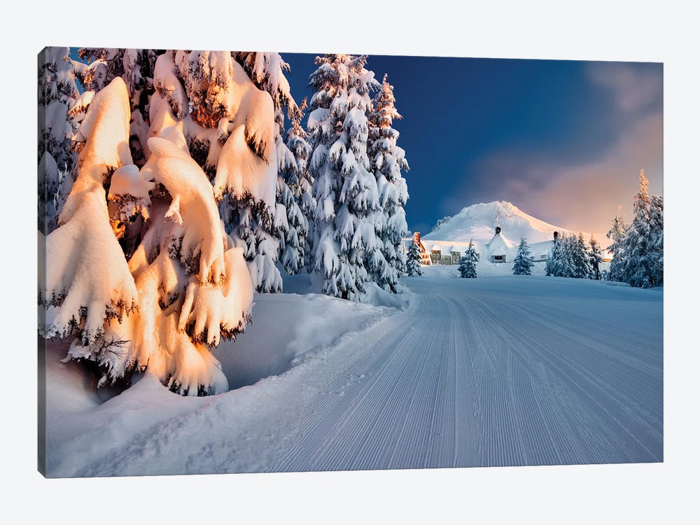 Timberline by Dennis Frates 1-piece Canvas Art Print