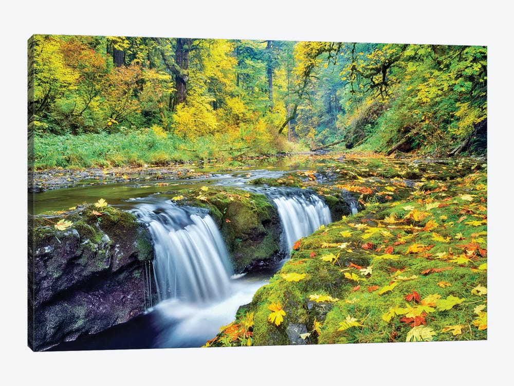 Tiny Falls by Dennis Frates 1-piece Canvas Art