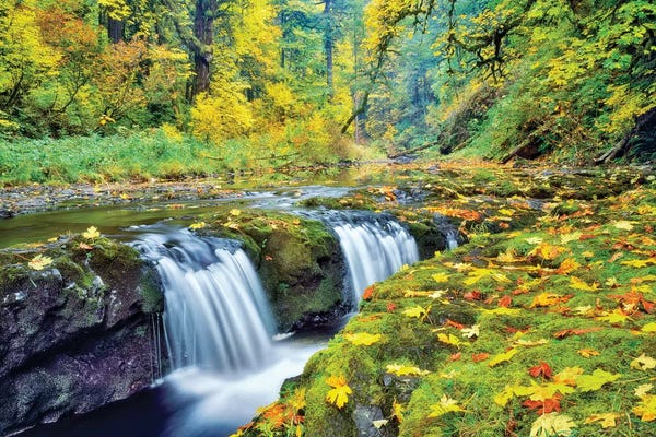 Waterfalls: Tiny Falls by Dennis Frates