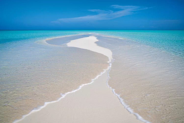 Tiny Island