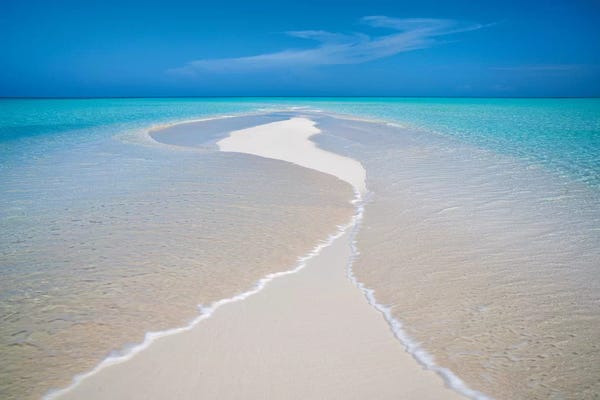 Tiny Island