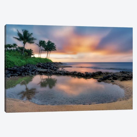 Tiny Tropical Pool Canvas Print #DEN366} by Dennis Frates Canvas Wall Art