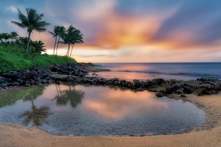 Tiny Tropical Pool by Dennis Frates wall art