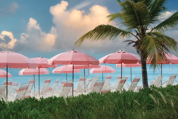 Beacgh Umbrellas