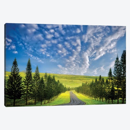 Tree Lined Road Canvas Print #DEN370} by Dennis Frates Canvas Artwork
