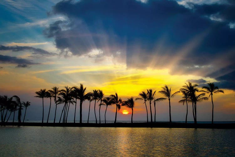 Tropical Pond Sunset by Dennis Frates wall art